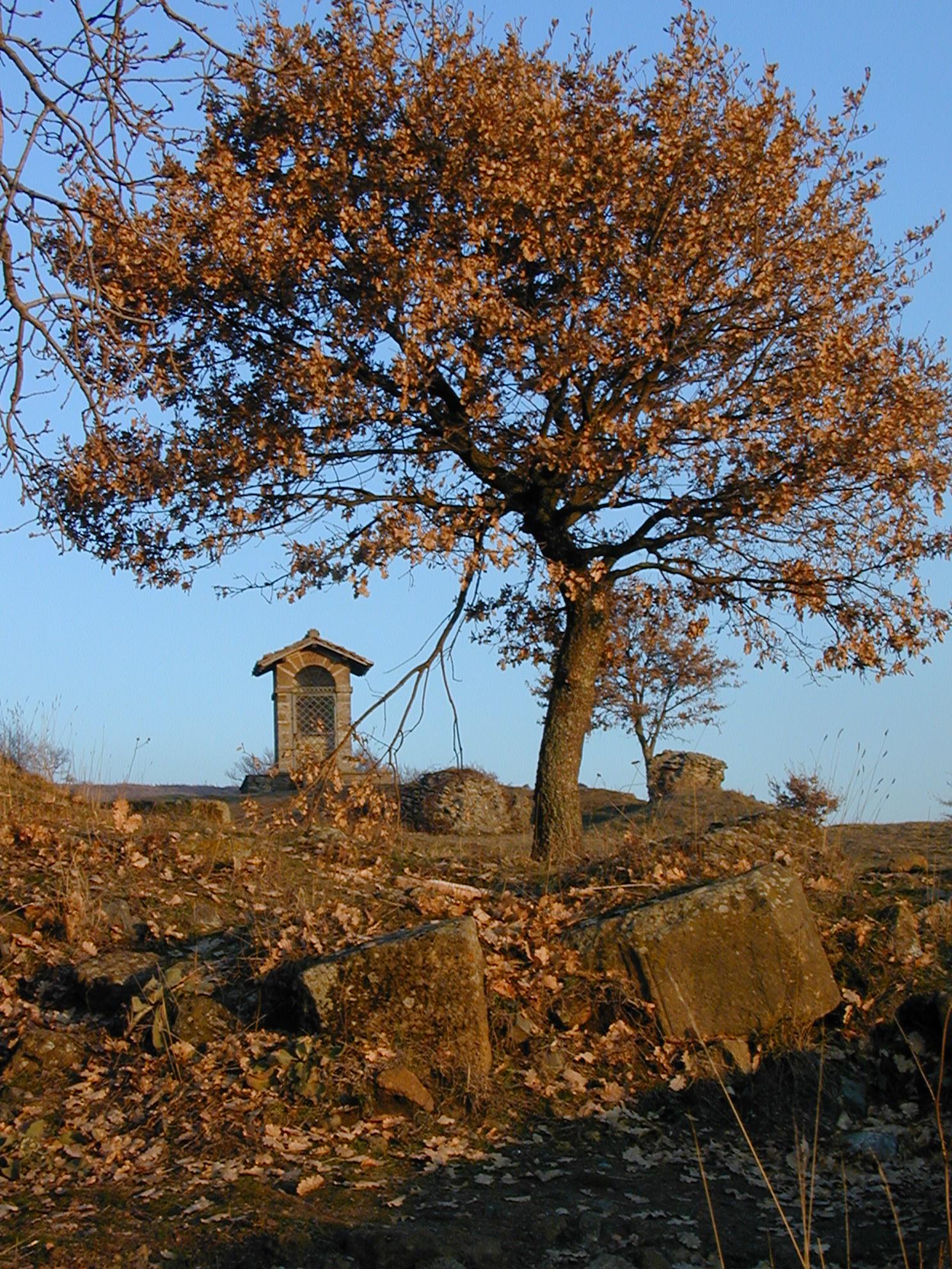 Tuscolo.jpg (620697 byte)